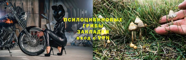 mix Осинники