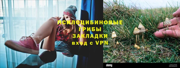 MESCALINE Пересвет