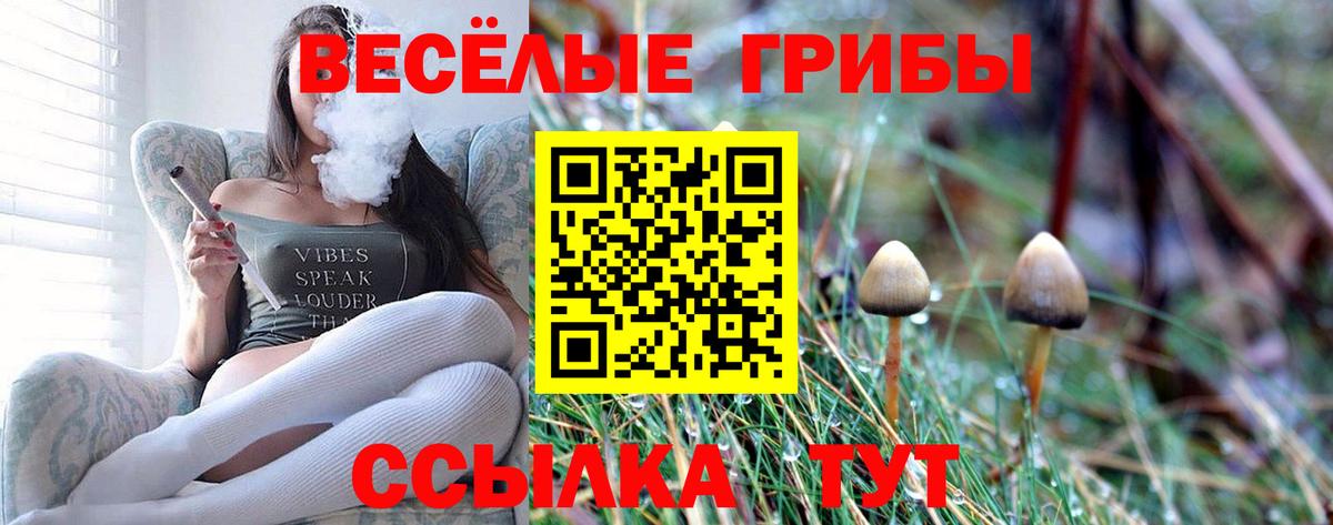 Карпинск  закладки  Вход с VPN  Галлюциногенные грибы Psilocybine cubensis 