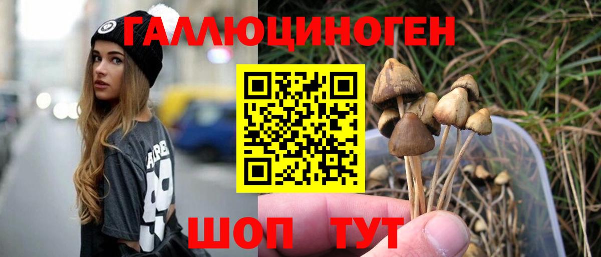 Псилоцибиновые грибы MAGIC MUSHROOMS Карпинск